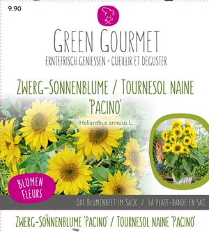 Maxi Garten Zwerg-Sonnenblume ‘Pacino‘