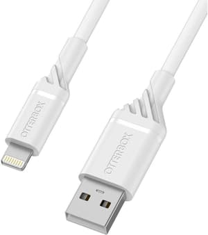 Câble chargeur USB Lightning - USB A 1 m
