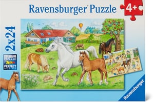 Centro cavalli Puzzle