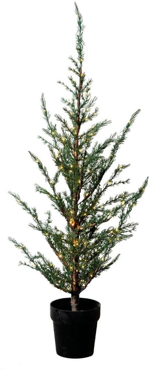 Weihnachtsbaum Milas, 100 cm, 100 LEDs, Grün