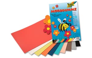 Moosgummi-Set 10 Stück, Mehrfarbig