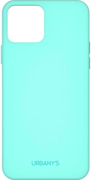 Minty Fresh Silicone iPhone 13