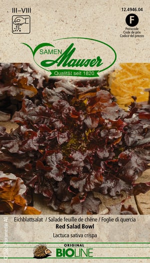 BIO Salade feuille de chêne Red Salad Bowl