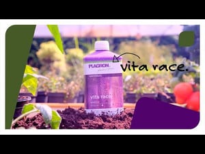 Vita Race 1 litro