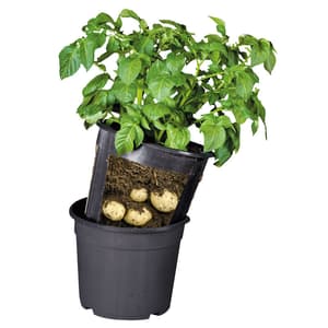 Kombi-Pot Pot de pommes de terre D28xH26cm