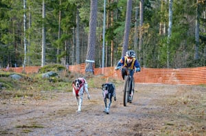 Guinzaglio no-stop Running Line 2,8 m per due cani