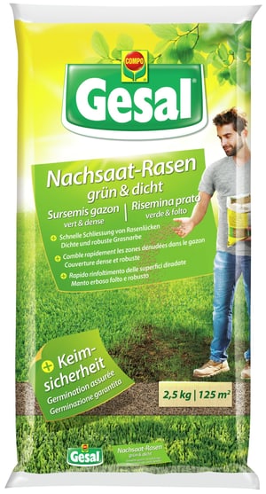 Nachsaat-Rasen grün und dicht, 2,5 kg