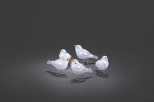 Oiseaux à LED acrylique, set de 5