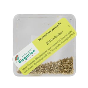 Phytoseiulus acariens prédat., 600pc