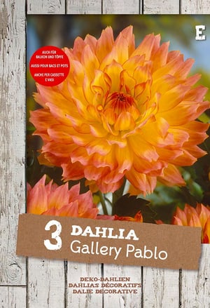 Dalia Gallery Pabo, 3 pezzi