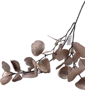 Eucalyptus en velours glamour