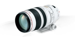 Canon EF 100-400mm 4.5-5.6 L IS USM Prem