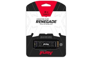 FURY Renegade M.2 2280 NVMe 4000 GB