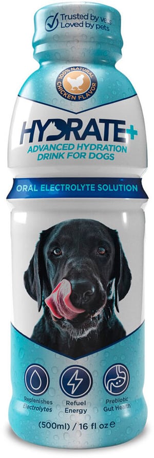 Oralade Hydrate+ DOG, 500 ml