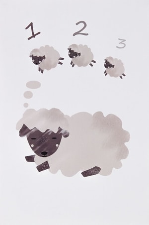 Sheep 20 x 30 cm