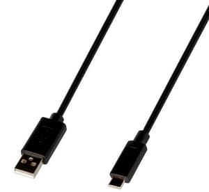 Cable USB Type C Switch - 2m