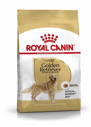 Golden Retriever Adult, 12 kg