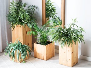 Cache-pot en bois SYKIA 28 x 28 x 60 cm