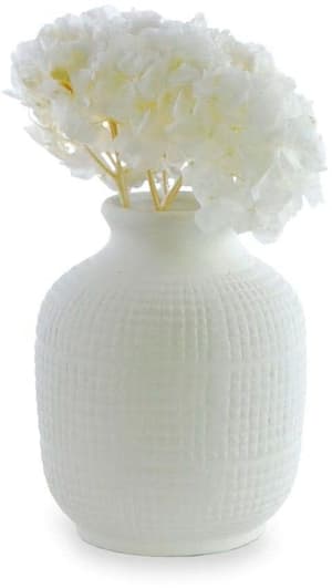 Fleurs séchées Hortensias 30 cm, Blanc