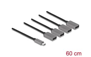 Hub USB 2.0 - 4x USB-A, USB Type-C, 60 cm