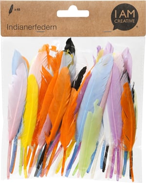 Plumes indiennes 12-15 cm, mélange pastel
