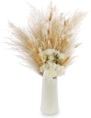Fleurs séchées Nadine 60 cm, Blanc