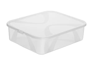 Arco Aufbewahrungsbox 12l mit Deckel, Kunststoff (PP) BPA-frei, transparent