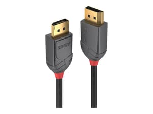 DisplayPort 1.2 Câble, Anthra Line 3m