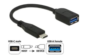 USB 3.1-Adapterkabel USB C - USB A 0.1 m