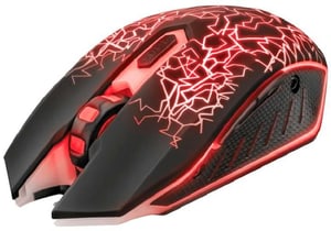 GXT 107 Izza