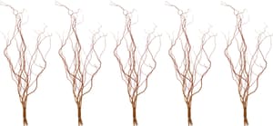 Bouquet de 5 branches de saule tire-bouchon