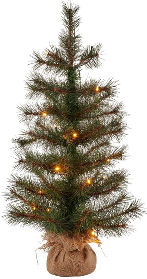 Albero di Natale Alvin, 60 cm, 20 LED