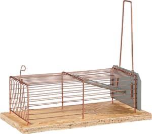 Cage metall-trappe souris