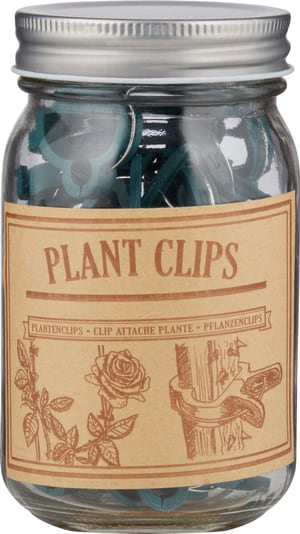 Clip attache pour plantes en bocal