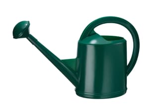 12 L