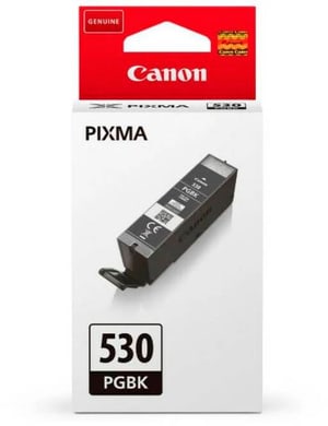 Canon Encre PGI-531PGBK nero