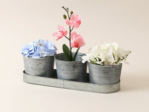 Vaso per erbe aromatiche set di 3