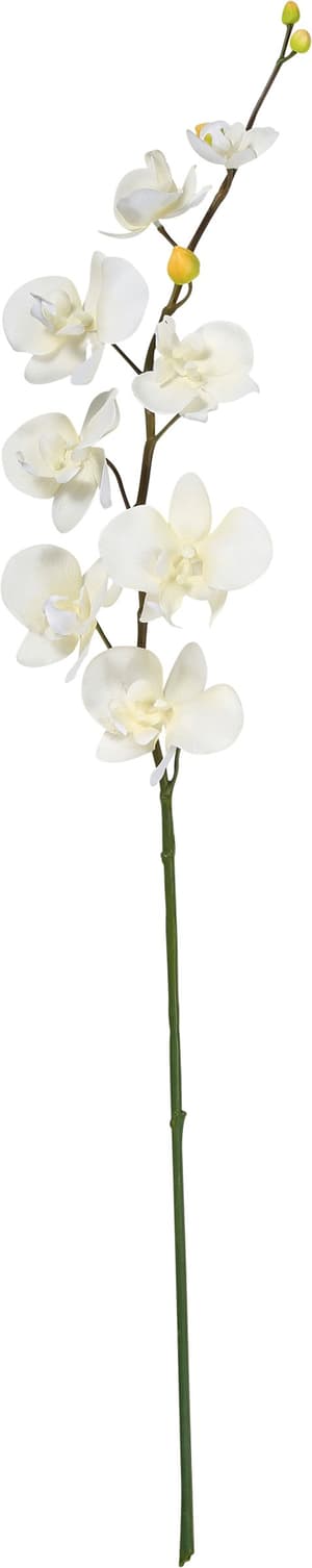 Kunstblume Phalaenopsis