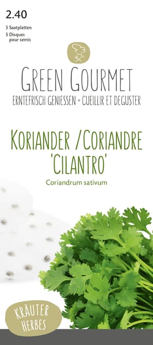 Coriande 'Cilantro' 5 graine plaque