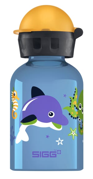 Bottle Dolphin & Co.