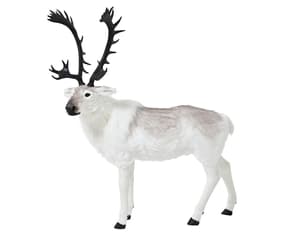 Cerf XL, 177 cm