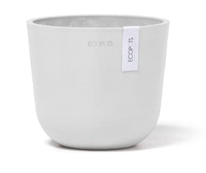 Oslo Mini