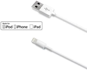 USB-A to Lightning Cable 12W