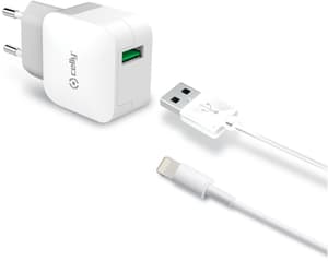 USB-A Wall Charger with USB-A to Lightning Cable 12W