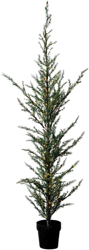 Weihnachtsbaum Milas, 180 cm, 180 LEDs, Grün