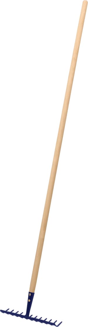 30 cm