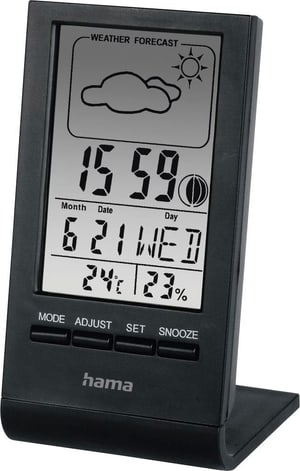 LCD-Thermo- / Hygrometer "TH-100"