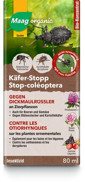 Maag  Stop-coleotteri