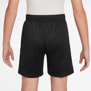 Dri-FIT Training Shorts Multi