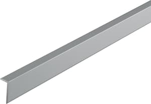 Profilo protezione 19 x 8 mm argento 1 m